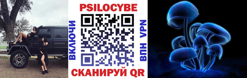 OMG ССЫЛКА  Катав-Ивановск  Галлюциногенные грибы GOLDEN TEACHER 